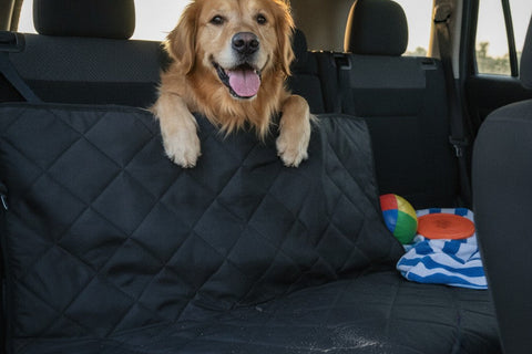 Summer Road Trips: Protect Your Car Seats