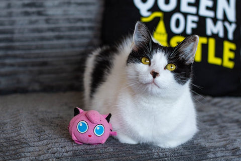Kitten Toys: Why Cheap Isn't Always Best (and What Is)