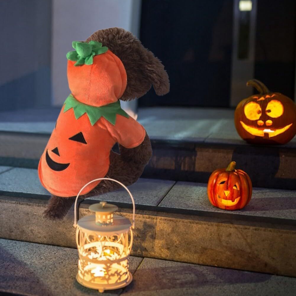 Pumpkin Dog Hoodie | Cute Halloween Fleece Costume for Small Dogs