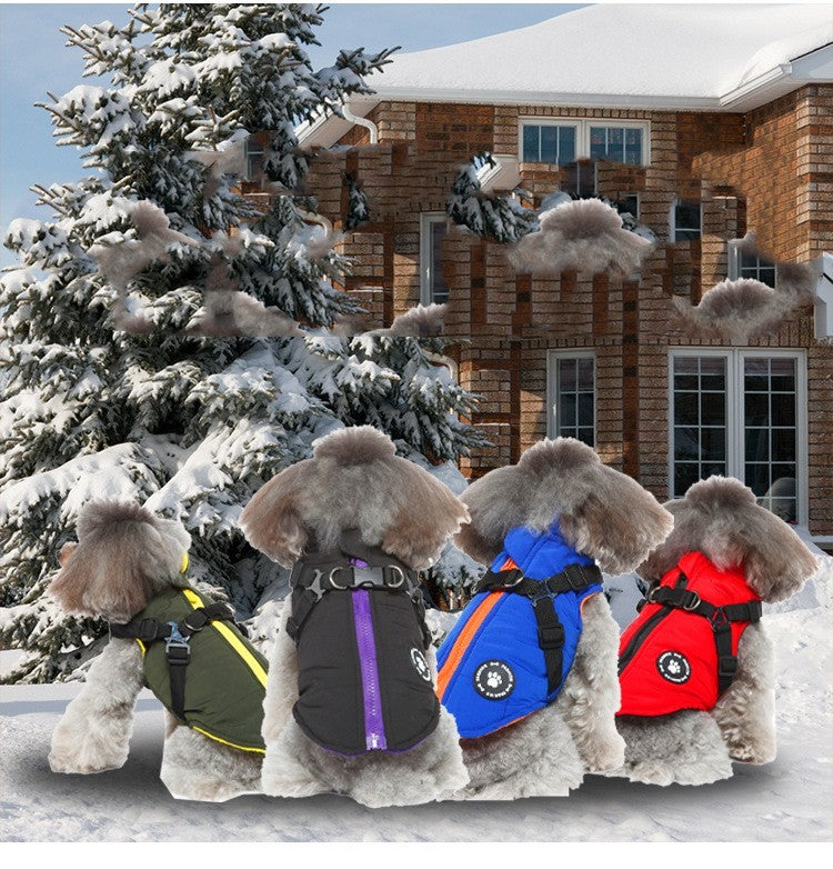 Dog Winter Jacket | Cotton-Padded Coat with Chest Strap