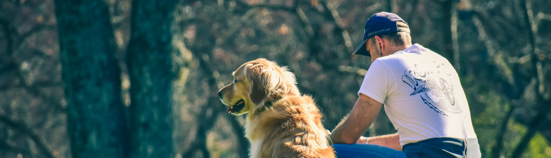 Why Your Pet Follows You Everywhere (And What It Really Means)
