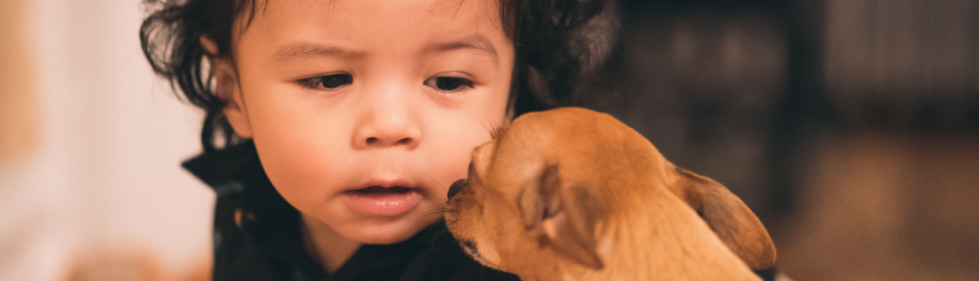 The Emotional Intelligence of Pets: Smarter Than We Think