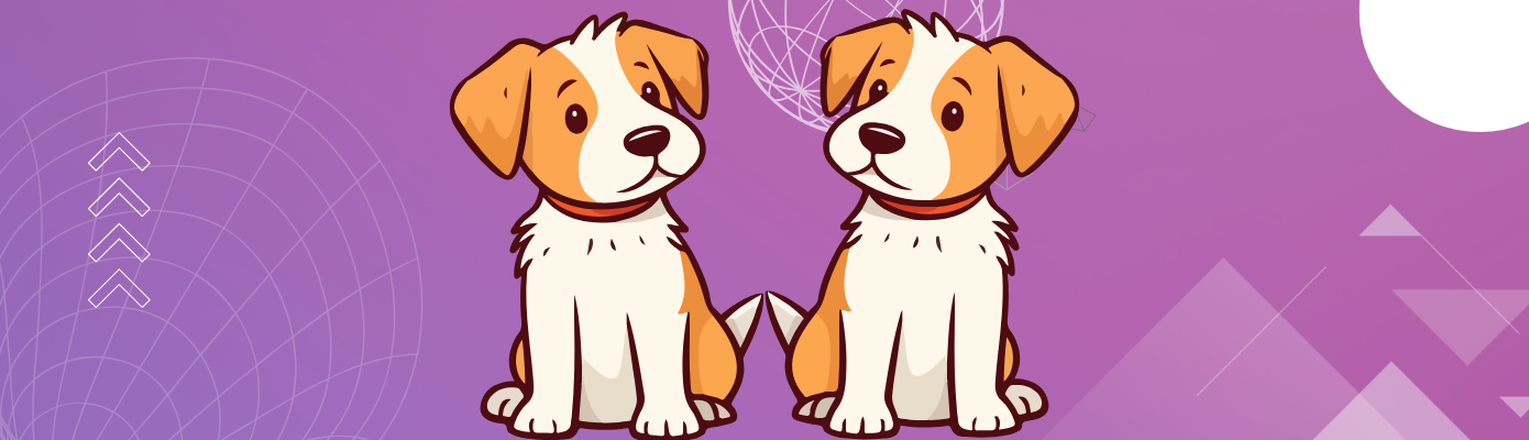 They Grow Older, But Never Out of Love — Caring for Senior Pets Gracefully