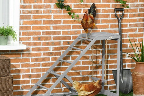 Chicken Swing Set: How to Delight Your Flock (No Stress!)