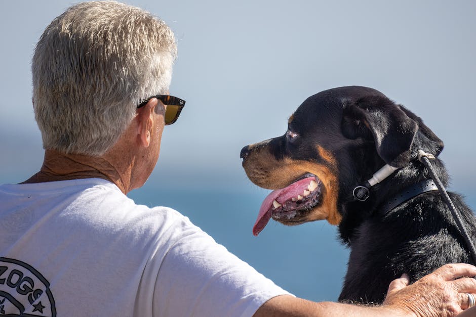Best Dog Travel Backpack for Rottweilers: 2026 Guide