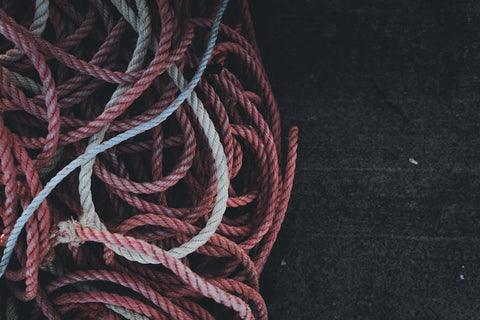 Bird Perches: Wood vs. Rope vs. More – What's Best?