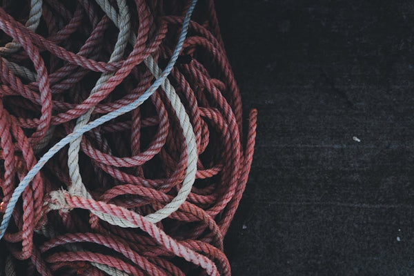 Bird Perches: Wood vs. Rope vs. More – What's Best?