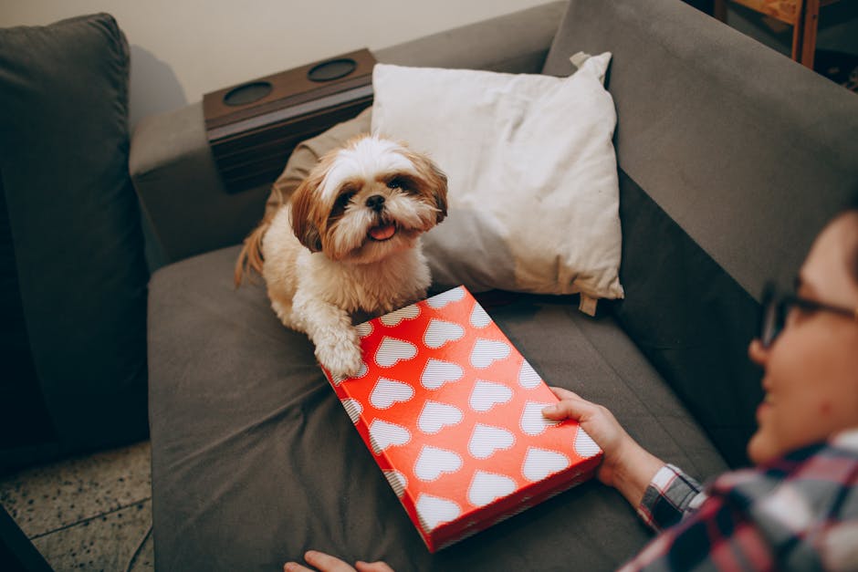 Best Dog Car Seat Cover for Shih Tzus: 2026 Guide