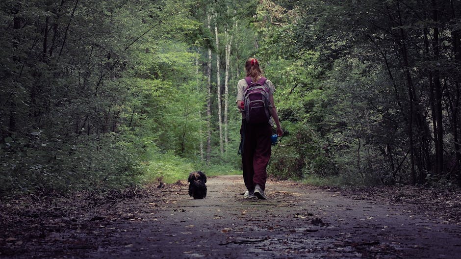 Best Dog Travel Backpack for Shih Tzus: 2026 Guide