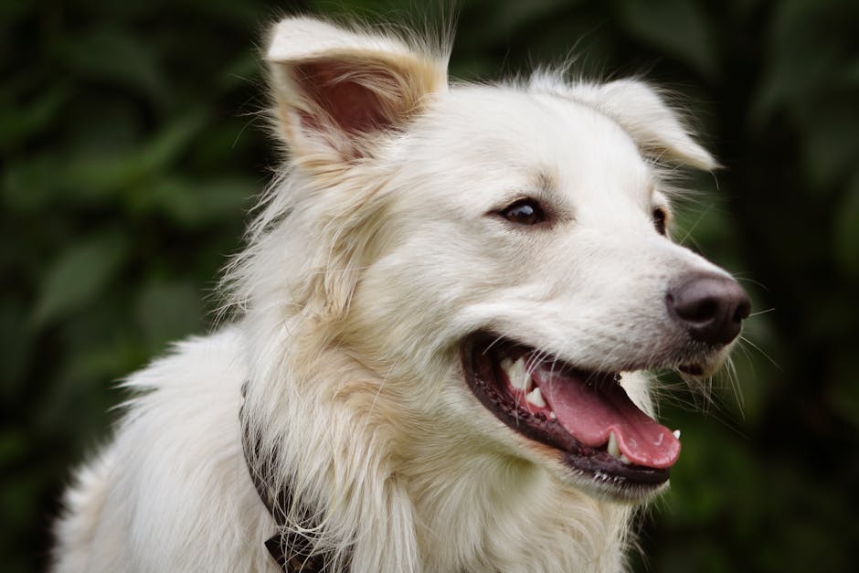 Critters in Your Yard? How to Keep Them Out (Humanely)