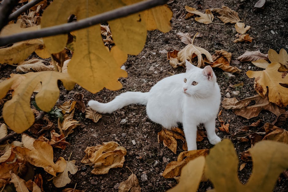 UTI Detection Cat Litter: A Gimmick or a Game-Changer?