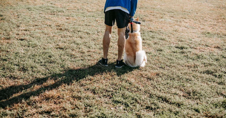 Summer Potty Training: Ditch the Mess, Keep the Cool