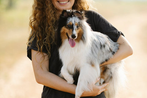 Why Cats Crave Running Water – And Why Your Dog Might Too