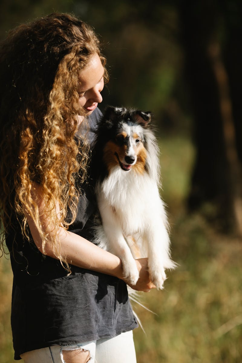 Best Interactive Dog Toys for German Shepherds: 2026 Guide