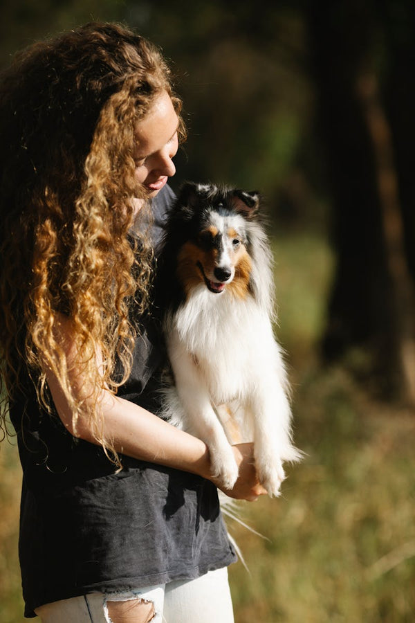Best Interactive Dog Toys for German Shepherds: 2026 Guide