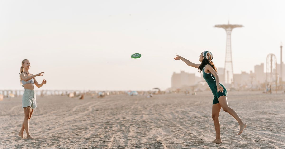 Best Dog Frisbee & Flying Disc for Dogs: 2026 Guide