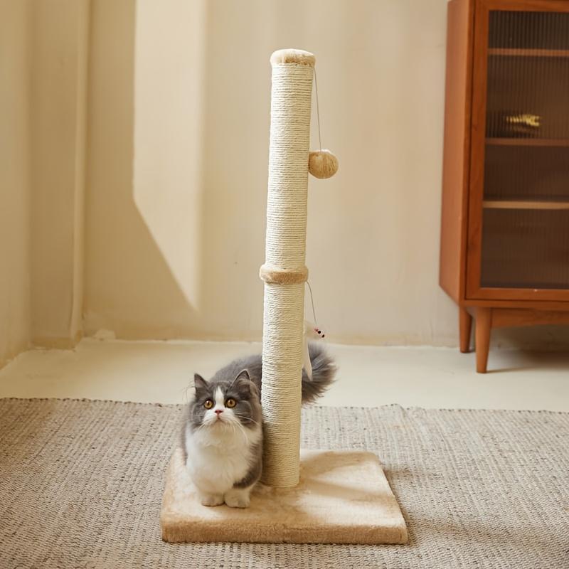 Cat toys