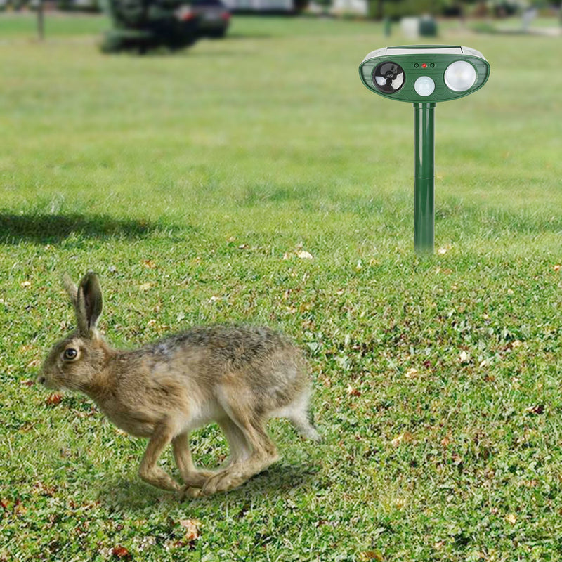 Pet Outdoor Supplies