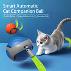 Smart Rechargeable Interactive Cat Ball – Automatic Teaser Toy for Cats | Type-C, Pet Fun & New Year Gift