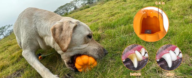 Indestructible Dog Toy – Rope Fetch & Tug Toy for Large Aggressive Chewers