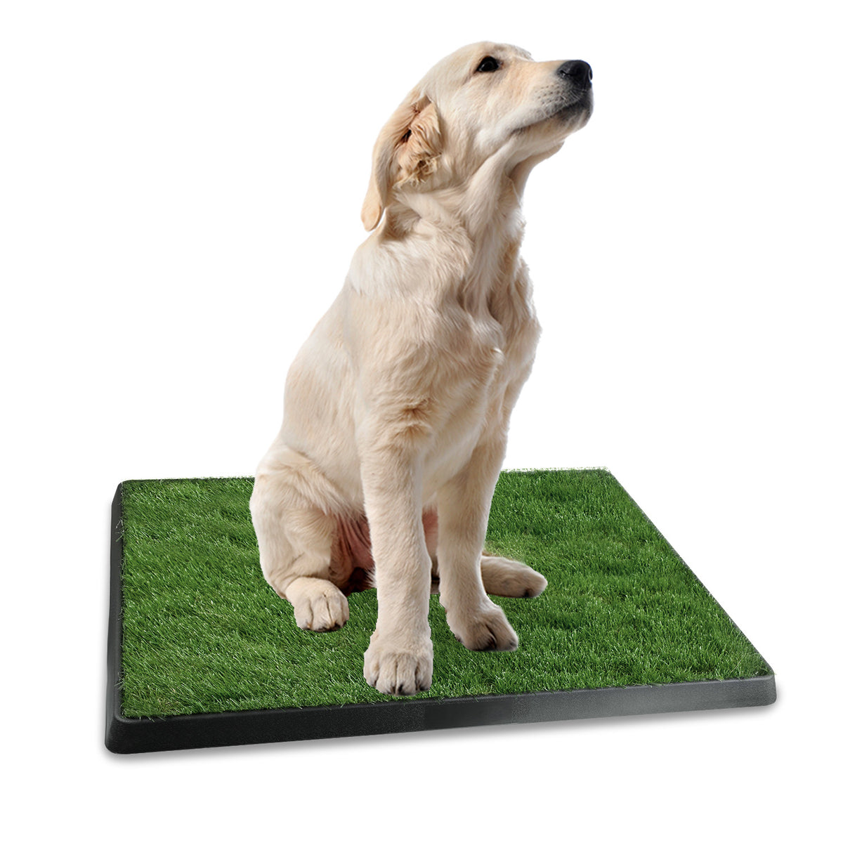 FurryFable Artificial Grass Potty Pad