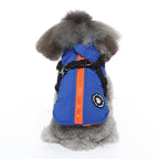 Dog Winter Jacket | Cotton-Padded Coat with Chest Strap