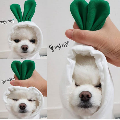 Fruit Dog Hoodie | Warm Fleece Winter Outfit for Small Dogs & Cats