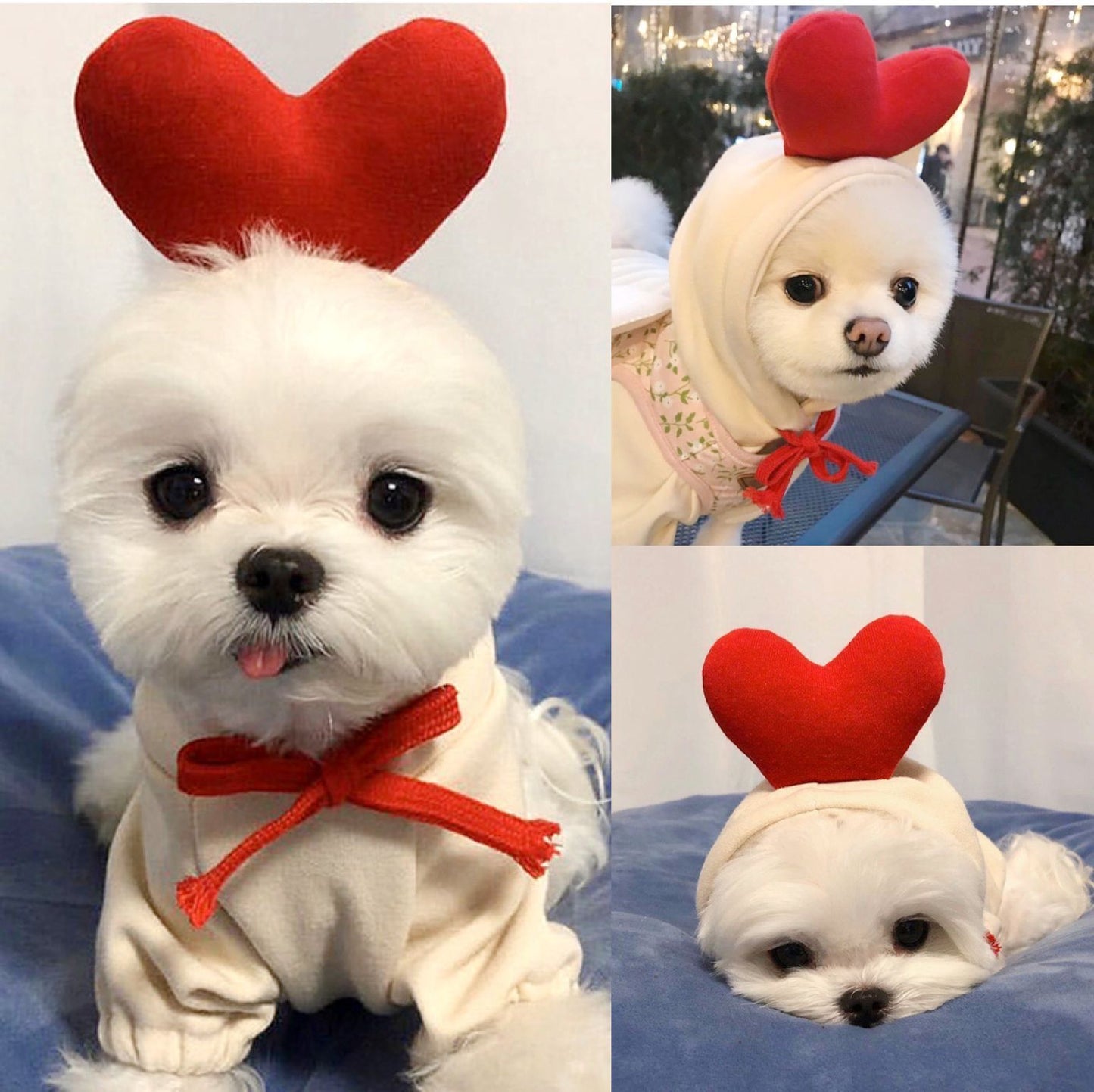 Fruit Dog Hoodie | Warm Fleece Winter Outfit for Small Dogs & Cats