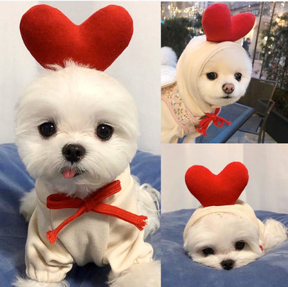 Fruit Dog Hoodie | Warm Fleece Winter Outfit for Small Dogs & Cats