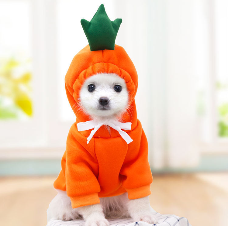 Fruit Dog Hoodie | Warm Fleece Winter Outfit for Small Dogs & Cats