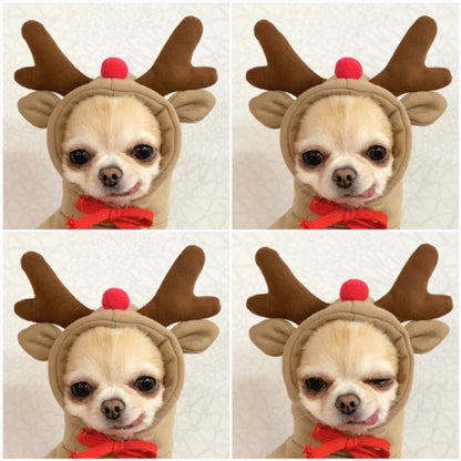 Fruit Dog Hoodie | Warm Fleece Winter Outfit for Small Dogs & Cats