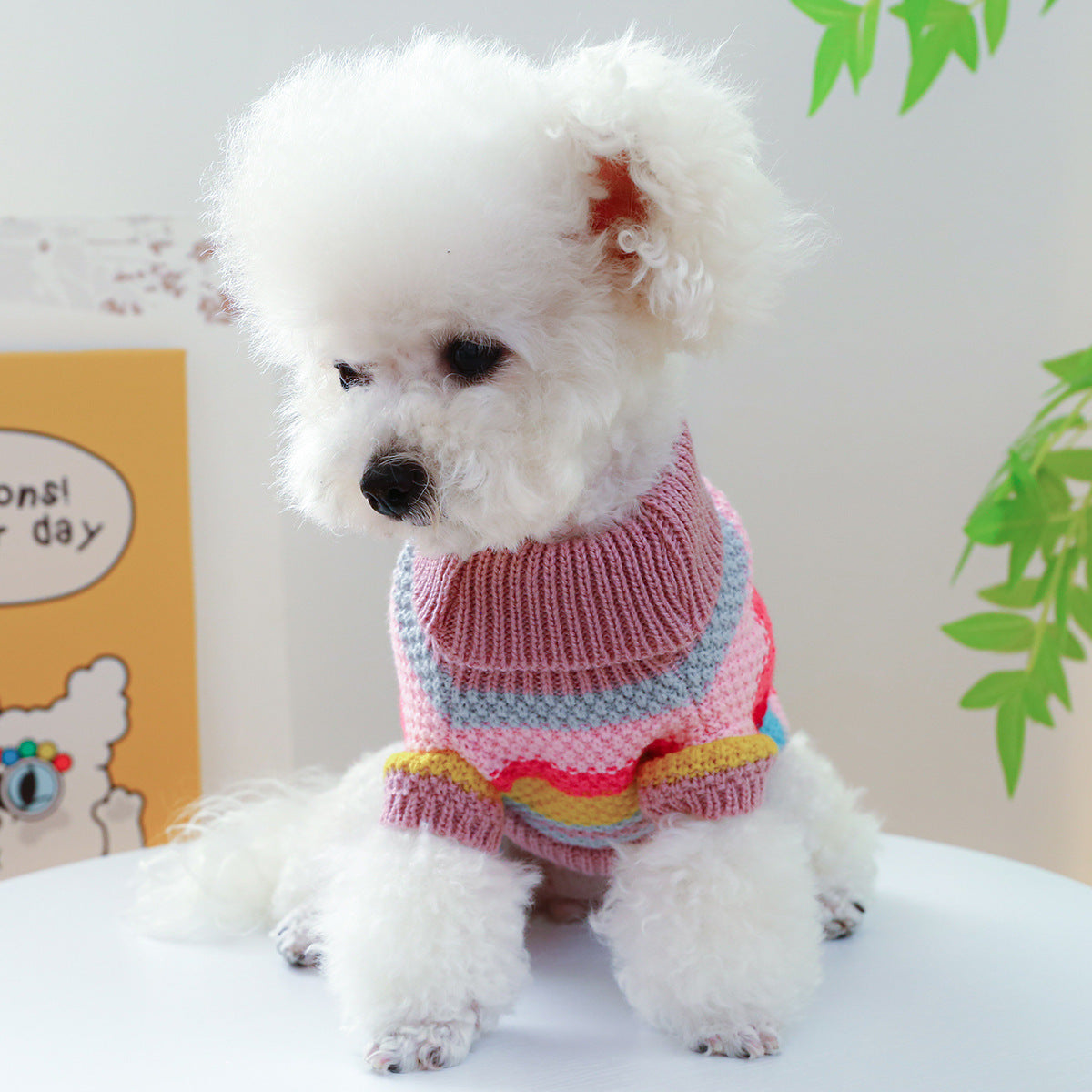 Striped Pet Sweater | Colorful Knit Pullover for Dogs & Cats