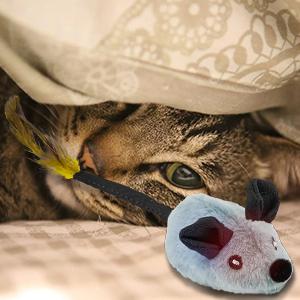 Interactive LED Mouse Toy for Cats | USB Rechargeable, Automatic Moving & Chirping