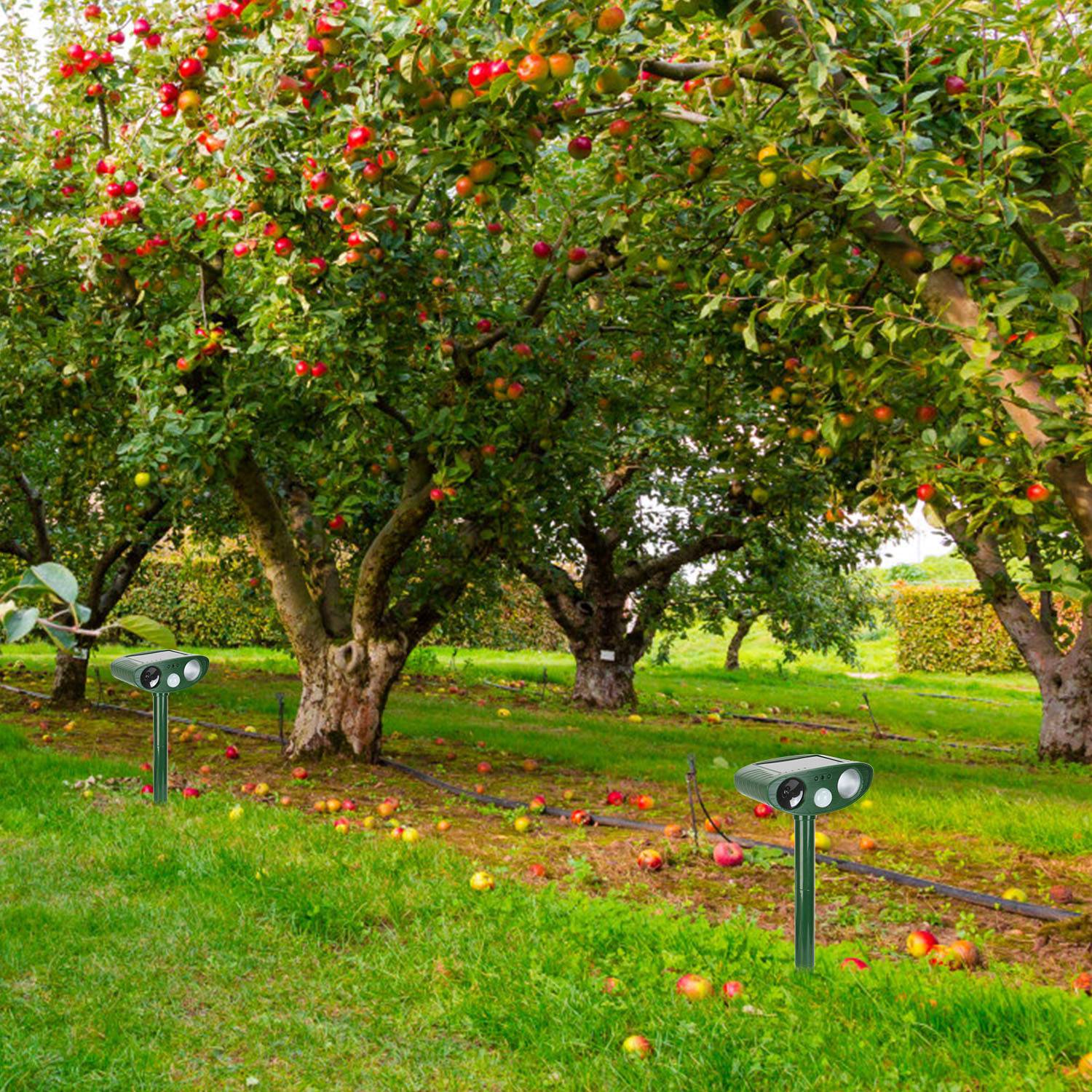 Lifestyle image of a pristine backyard, implying effective pest deterrence