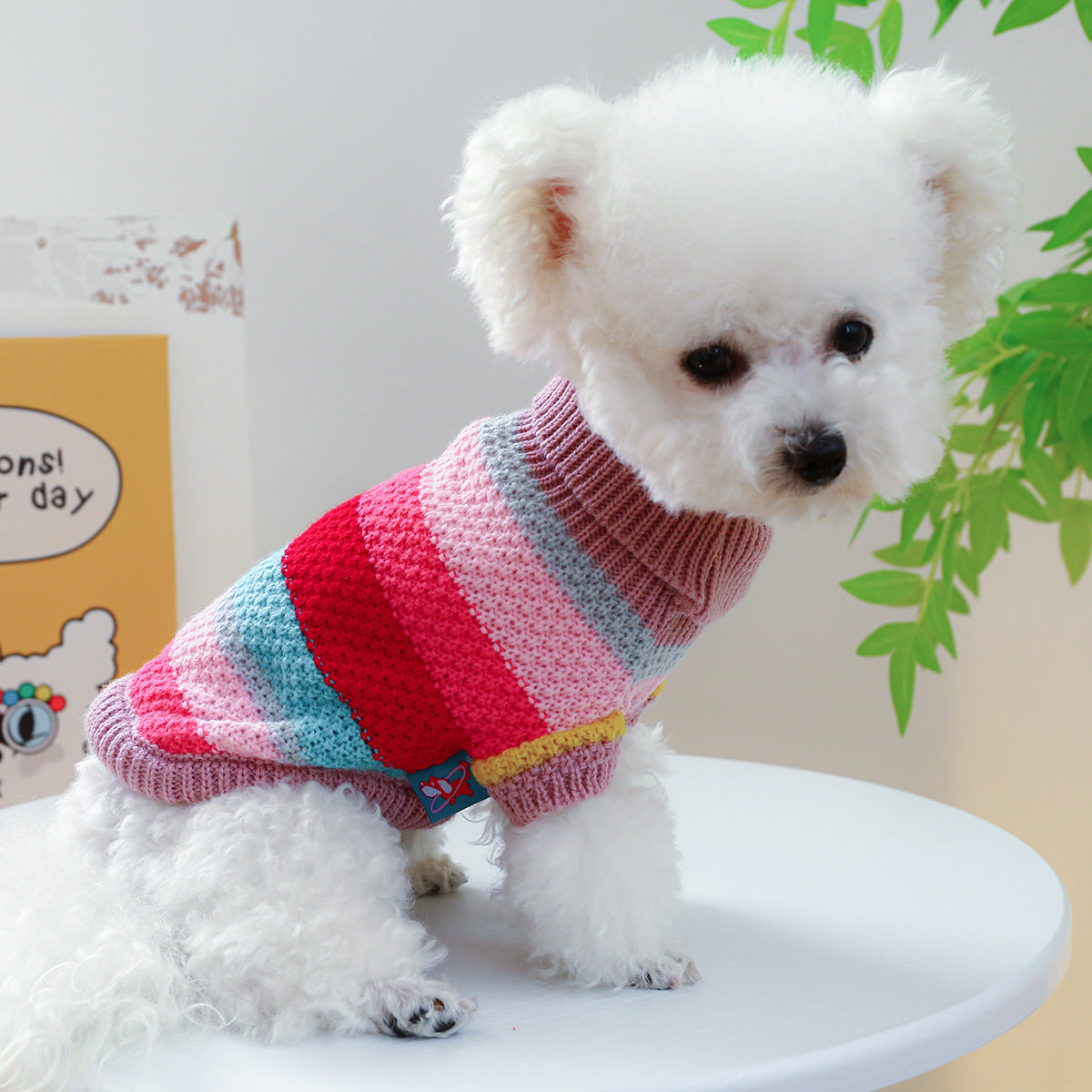 Striped Pet Sweater | Colorful Knit Pullover for Dogs & Cats