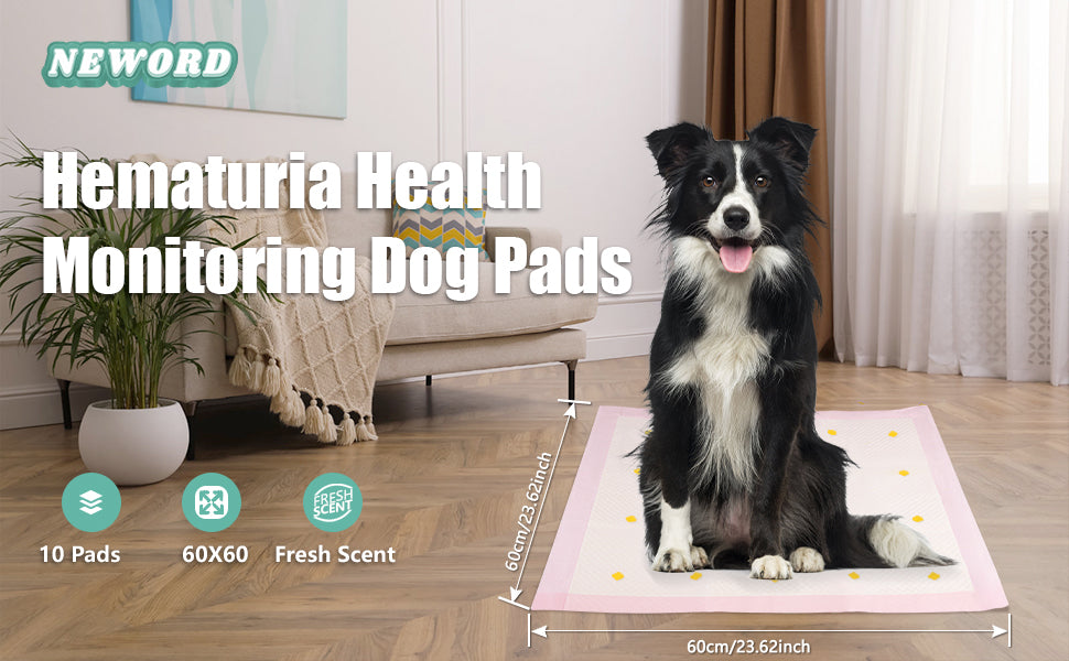 Health Monitoring Dog Pee Pads | Leak-Proof, Color-Changing Urine Pads (10 Pack)