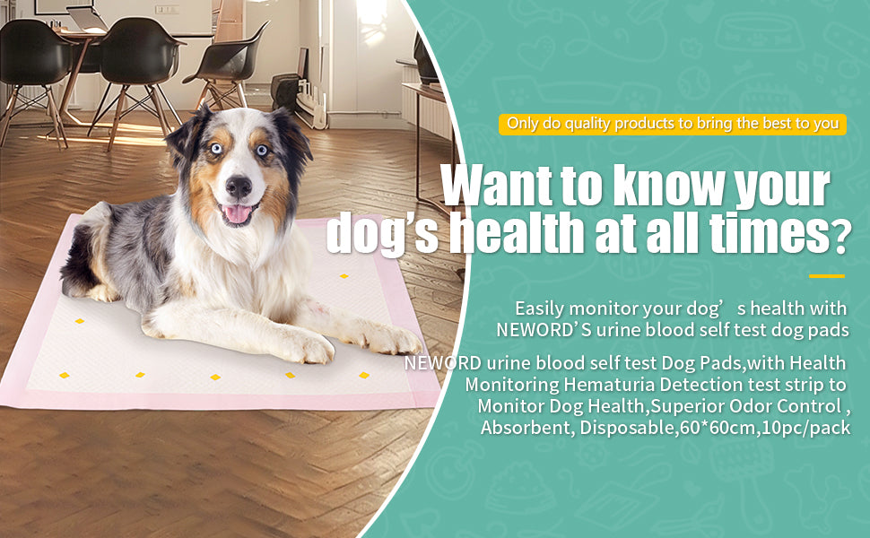 Health Monitoring Dog Pee Pads | Leak-Proof, Color-Changing Urine Pads (10 Pack)