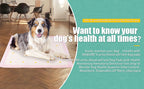 Health Monitoring Dog Pee Pads | Leak-Proof, Color-Changing Urine Pads (10 Pack)