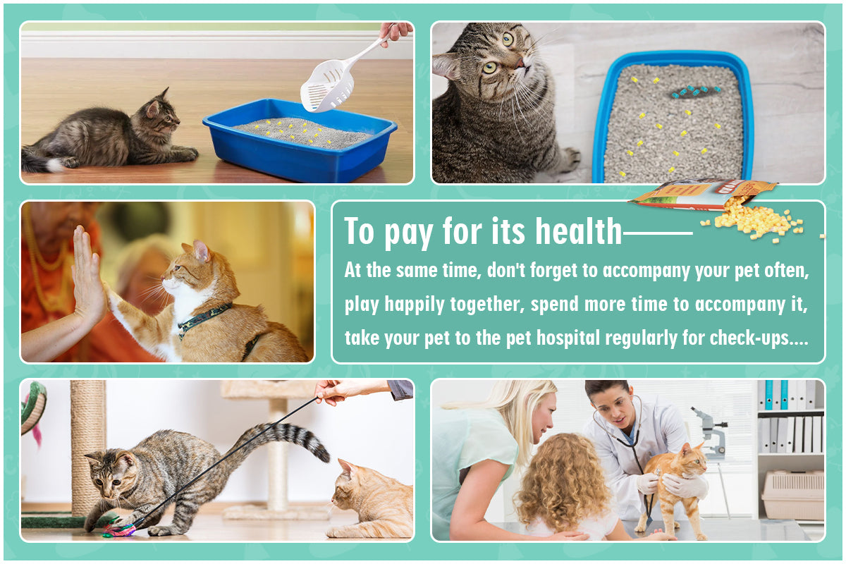 Cat Litter Self Checking Particles