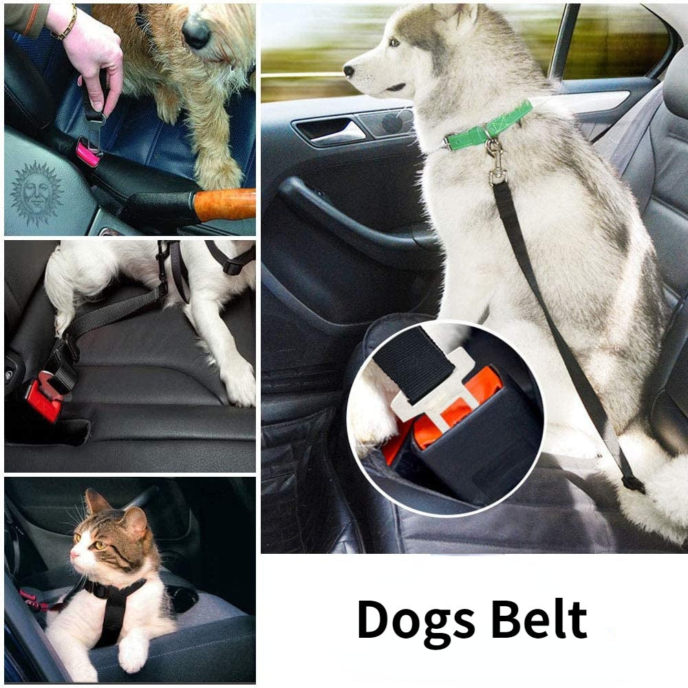 Adjustable Dog Car Seat Belt – Retractable Safety Harness for Pets