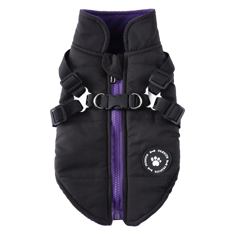 Dog Winter Jacket | Cotton-Padded Coat with Chest Strap