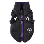 Dog Winter Jacket | Cotton-Padded Coat with Chest Strap