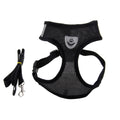 Adjustable straps and sturdy buckle on FurryFable Comfort dog harness