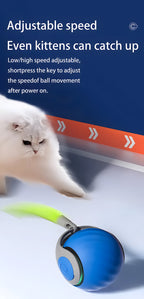 Smart Rechargeable Interactive Cat Ball – Automatic Teaser Toy for Cats | Type-C, Pet Fun & New Year Gift