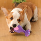 FurryFable Squeaky Latex Chew Toys | 4-Piece Set