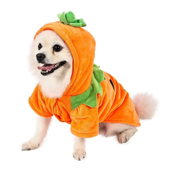 Pumpkin Dog Hoodie | Cute Halloween Fleece Costume for Small Dogs