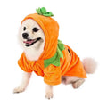 Happy dog wearing FurryFable Pumpkin Dog Hoodie snuggling on a couch