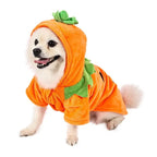 Pumpkin Dog Hoodie | Cute Halloween Fleece Costume for Small Dogs