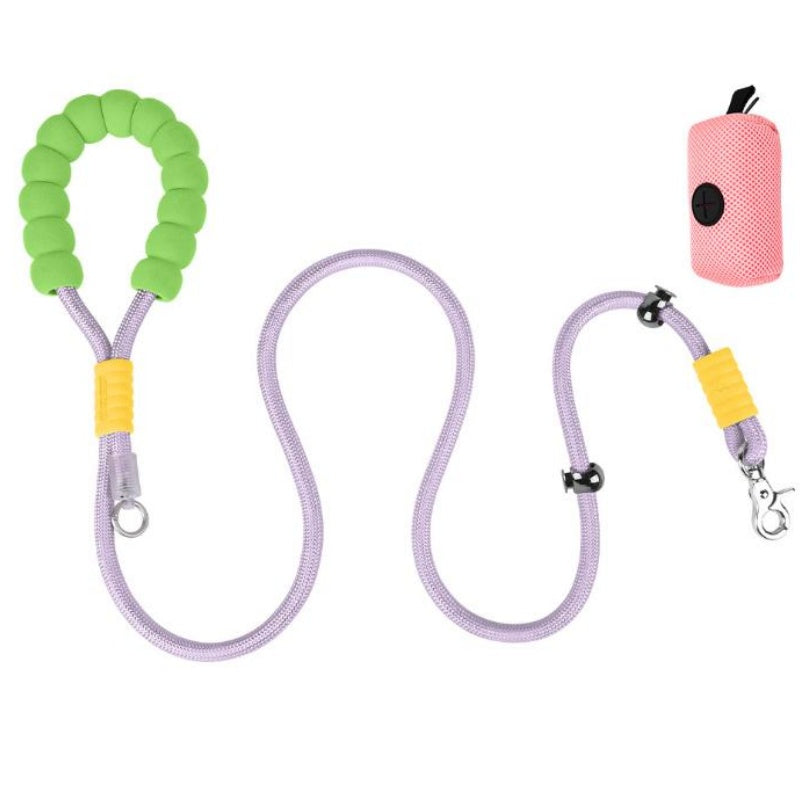 Dog leash training session using the FurryFable Anti-Pull Leash for better manners