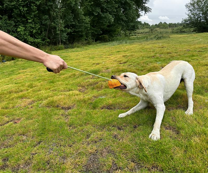 Indestructible Dog Toy – Rope Fetch & Tug Toy for Large Aggressive Chewers